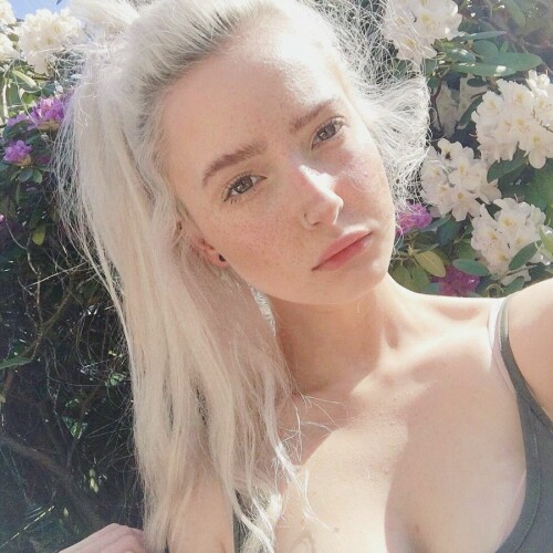 1784091200632156030 1784091075650333556