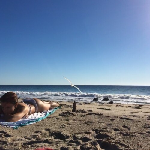 18011194 195437900967546 7408985556748599296 n18c2faa85ddf2818