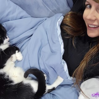 1857054baf400ca98b119e