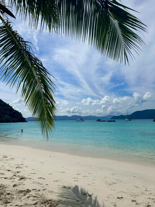 18ww3a27fsjqzfxdrzs6ek06mce03b6448932a176