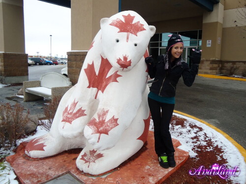 191 02 lg508a595b7c8bc9ba