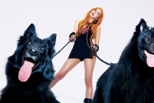 1934627348743401753 13832fc3650ab2c0a