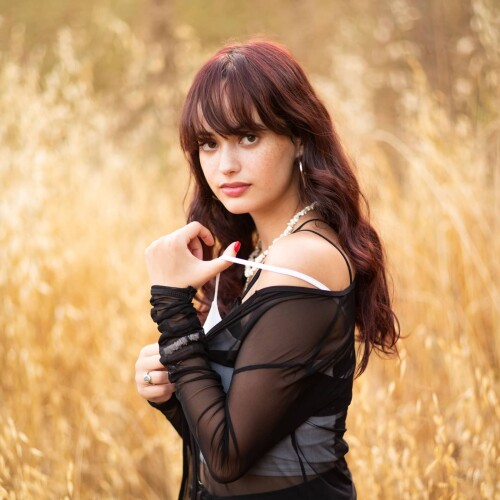 197832665 558018568551819 2087593460431233824 n