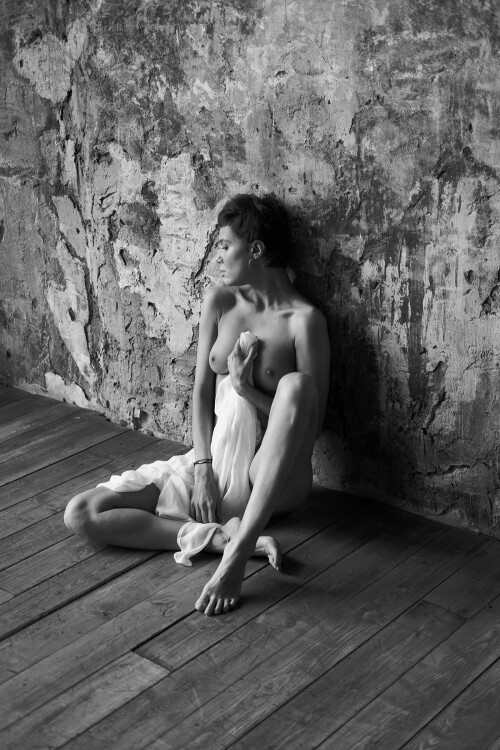 19871539_original1604632573d9d65f