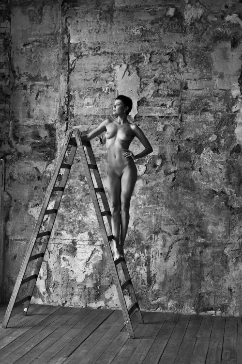 19872296_original58b6f48bf574662f