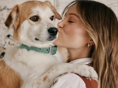 1A852EDB 31D3 485B B67E 751AFEF09E7B