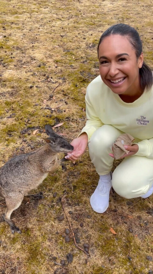 1C882AE6 824E 4E5A AA71 0E6E36749EA3