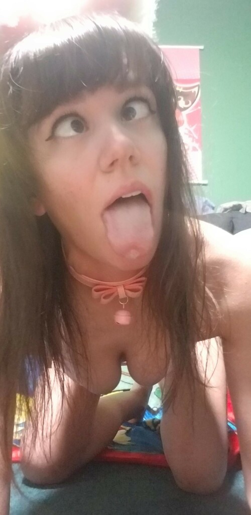 1d6cde863d817fab6a583aa6e248c487