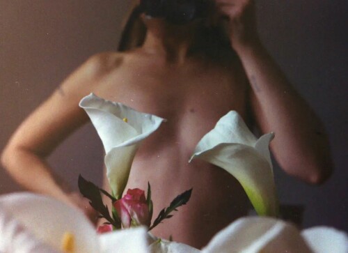 1f35220053b9c3d22a409eef493dab78