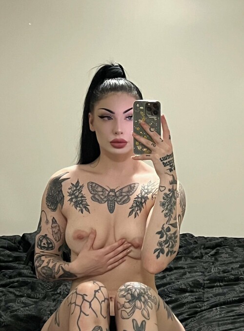 1ghr7nwofqjp1lkxfyd195d9fb6d07c646dd