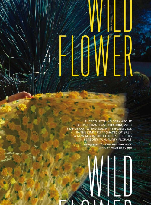 2 cFl9Co1e5b9edc4dc2cbfee