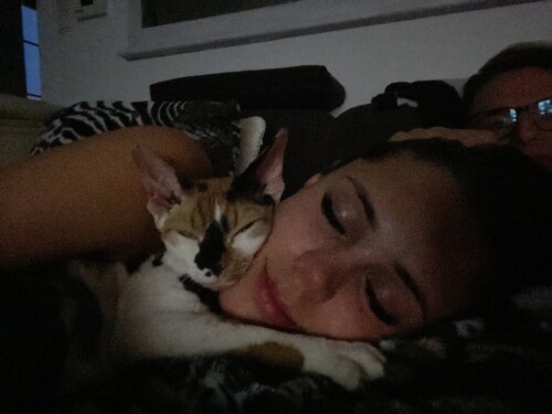 20-08-08-38720352-01-At-home-with-my-lovely-Nala-3840x2880cca6462089b30475