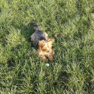 2014-01-14_07-30-06_UTC