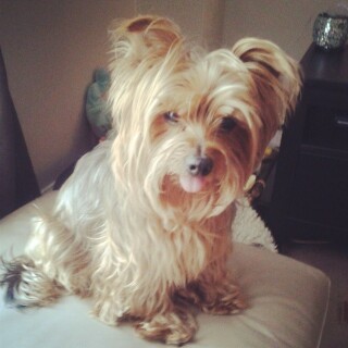 2014-02-07_13-15-48_UTC