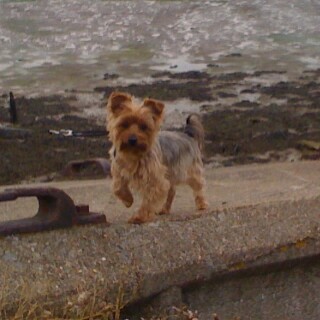 2014-02-13_20-26-04_UTC