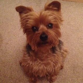 2014-03-28_22-20-11_UTC