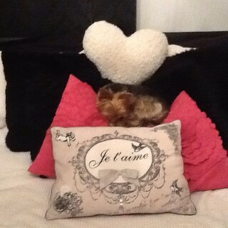 2014-04-02_06-51-12_UTC