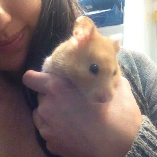 2014-04-09_20-21-14_UTC