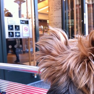 2014-04-21_08-13-54_UTC