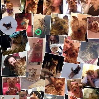 2014-05-09_08-03-28_UTC