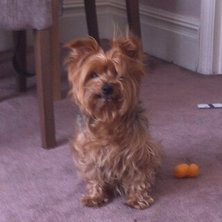 2014-07-26_09-38-32_UTC