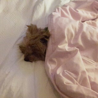 2014-10-23_07-03-03_UTC