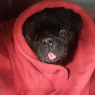 2015-02-25_17-36-02_UTC