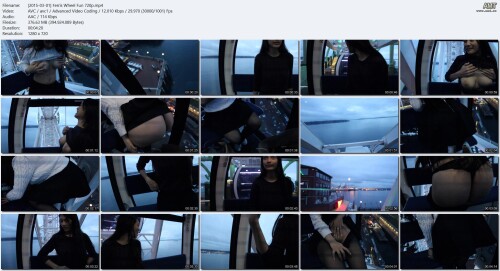 2015-03-01-Ferris-Wheel-Fun-720p.mp4c27944b89894a82c.jpeg