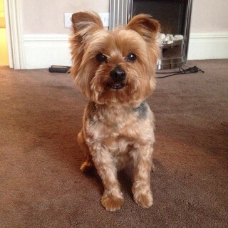 2015-04-01_21-50-13_UTC