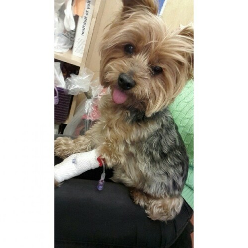 2015 05 08 14 03 15 UTC