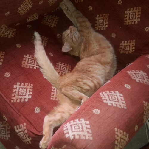 2015 07 12 10 15 34 UTC