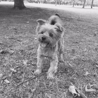 2015-08-11_14-55-44_UTC