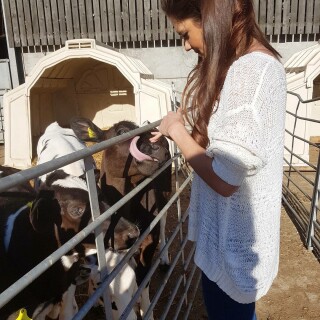 2017-04-10_11-26-54_UTC