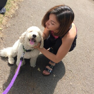 2017-07-09_11-51-28_UTC_4