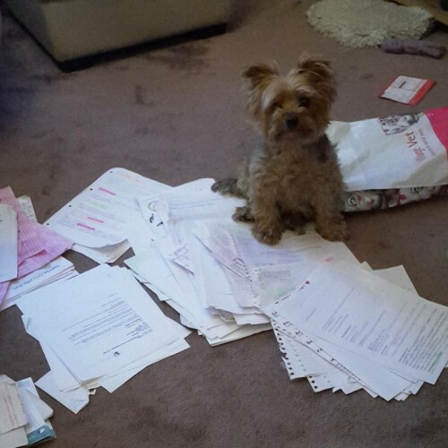 2017 07 17 07 27 47 UTC