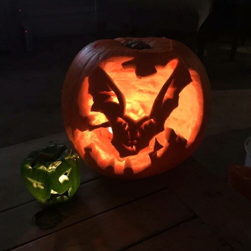 2017-10-31_21-58-59_UTC.jpeg