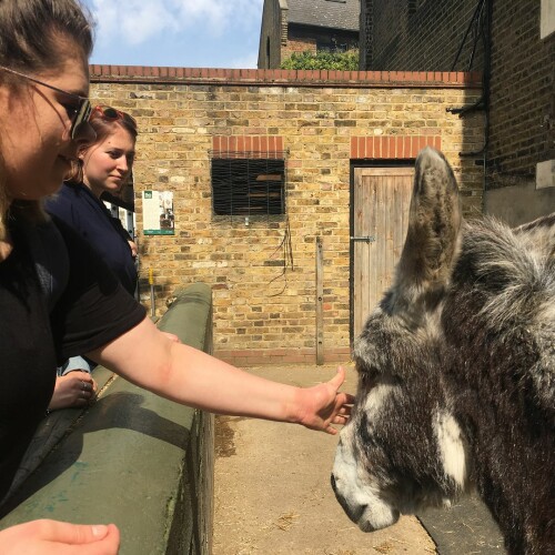 2018 04 21 17 02 45 UTC 2