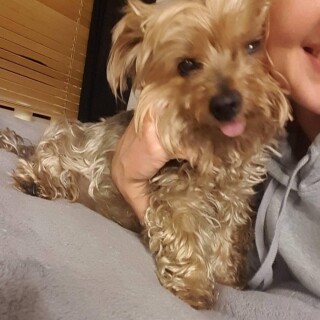 2018-05-09_06-22-56_UTC_3