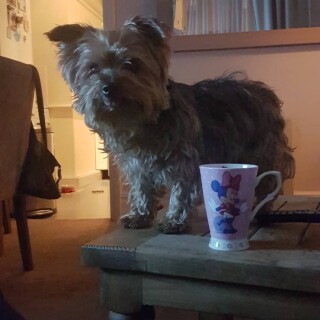 2018-07-17_05-05-22_UTC_5