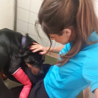 2019-02-27_07-21-26_UTC_3