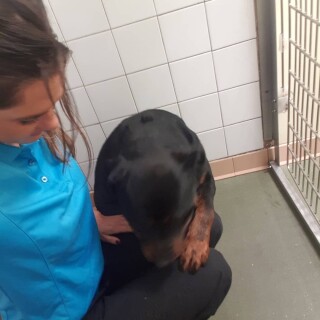 2019-02-27_07-21-26_UTC_4