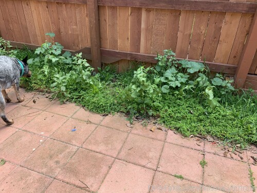 2020 04 03 209946350a71c116711e815a0