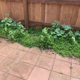 2020-04-03_209946350a71c116711e815a0