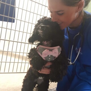 2020-05-04_20-11-07_UTC_1