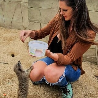 2020-06-29_06-00-23_UTC_2