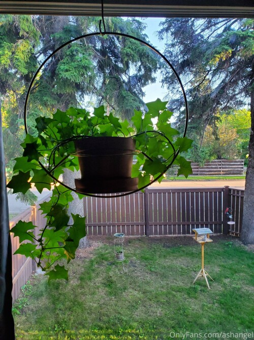 2020 07 06 3024x4032 5e8368d2d7760f941cdd42f57676d4c6