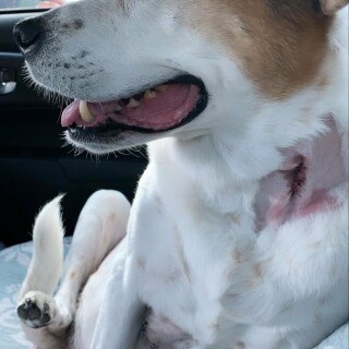 2020-07-07_509669727