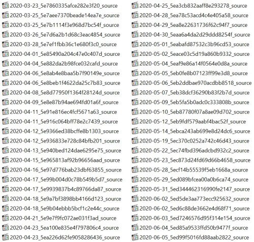 2020 Pt2081155bee6341695