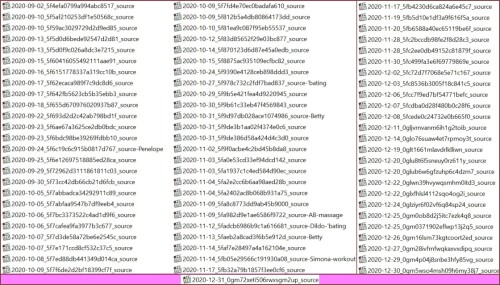 2020 Pt483ffe67ff61c9214