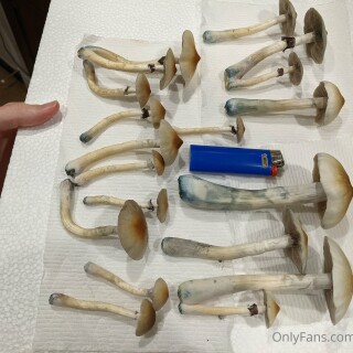 2022-03-11_3840x2880_3a52b0a825641538b448d654348071edaa18581c23687c9e